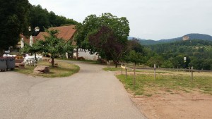 20150811_b_chateau du fleckenstein.jpg