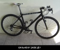 Giant TCR Advanced (nini33)