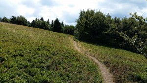 20150818_zc_vers le grand ballon.jpg